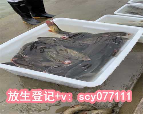 放生有啥讲究嘛，老年人过生日有什么讲究