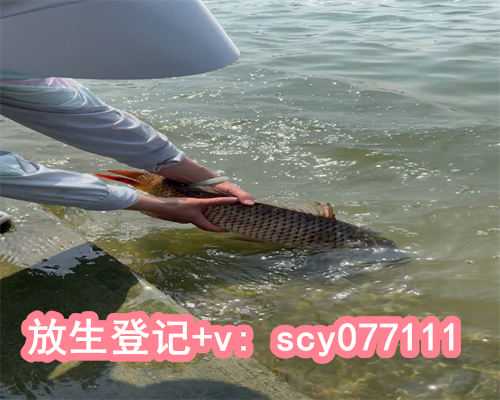 2023年放生，91年属羊2023年运势