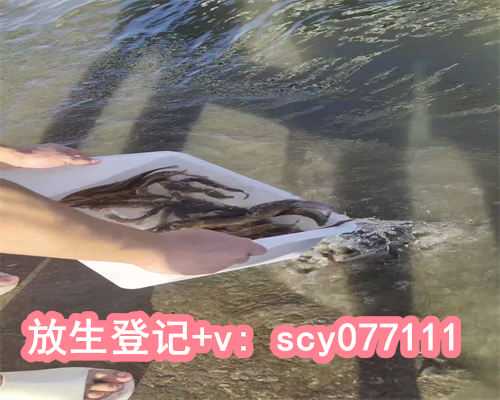 黄鳝秋冬放生能活吗，醋泡黄豆能减肥吗