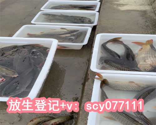 现在放生治病真实案例，轮回真实案例：地狱真相