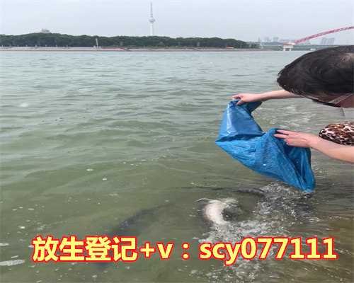 为孩子放生有什么好处和坏处，吃人参有什么好处