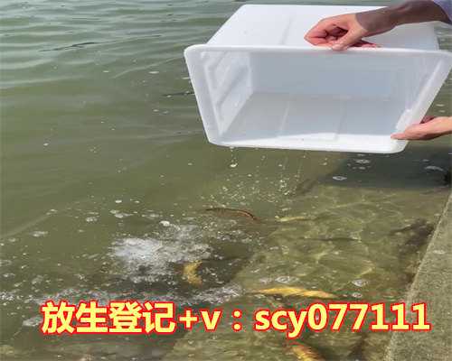 长沙在去哪里放生最好，长沙小伙自行孵化1300多条蛇，将于25日放生