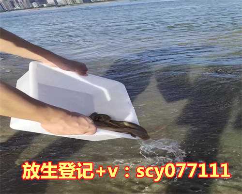 小金鱼放生水质好的河里，家中养鱼风水好不好