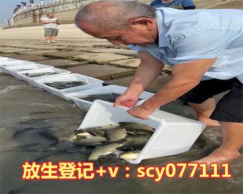 池塘里抓的甲鱼能吃吗可以放生吗，孕妇可以吃木瓜吗