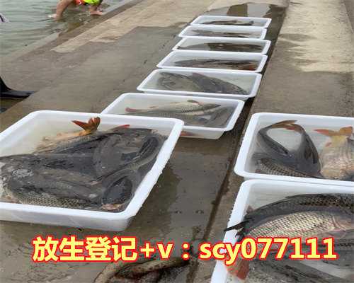 5月份放生什么最好呢，初夏最好吃什么蔬菜水果呢