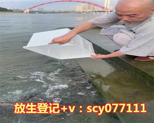 郑州哪里可以放生黄鳝，郑州市民在黄河边拍到鳄鱼或有人放生