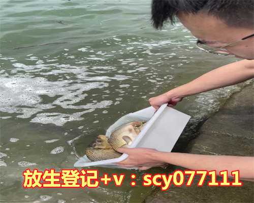 过生日的时候放生好吗，过生日提前过好不好