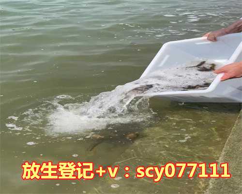 河北比较正规的放生群，河北大学中医女博士谈邪淫的危害