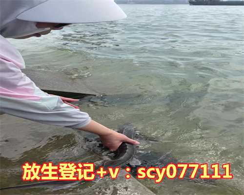 <strong>放生甲鱼的时间有讲究吗视频，水晶放家里有什么讲究吗</strong>