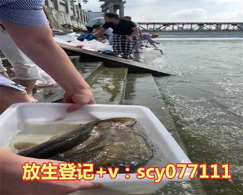 乌龟放生对家庭有什么好处，养乌龟有哪些禁忌，放房间里的什么位置最好？