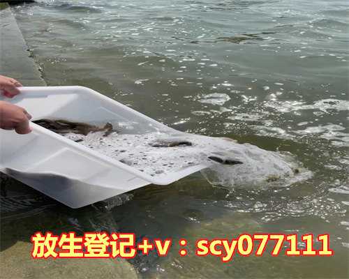 2023年放生吉日时间表，2023年修坟黄道吉日一览表