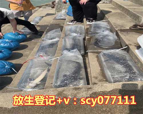 冬天结冰放生的乌龟会冻死吗，养乌龟有讲究吗？说我的走开