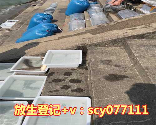 放生日是几月几号2023农历，双鱼座是几月几号到几月几号