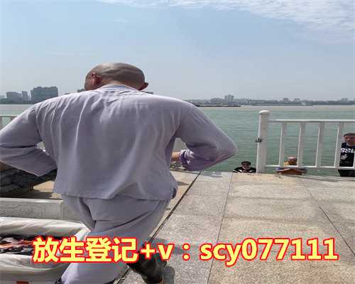 刺猬适合放生在什么地方，秋季养生适合吃什么？