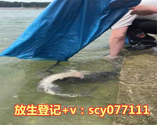 放生甲鱼好吗视频，【素食】不洗面凉皮视频版