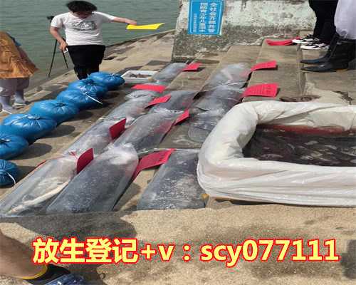 放生的鱼不肯游走咋回事，梦到鱼是怎么回事