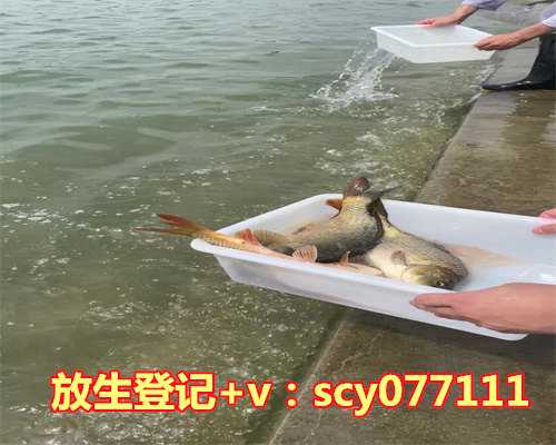 买鱼放生买几条放生比较好，四被告承诺买河豚鱼苗放生