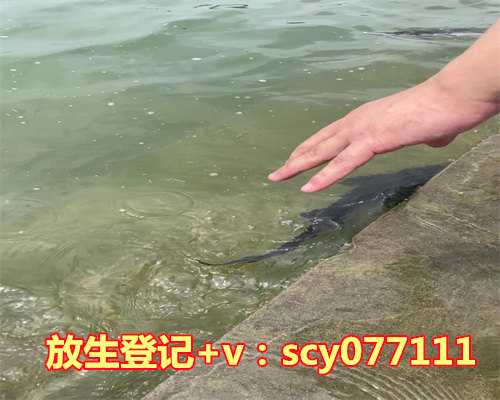 9月份放生放什么最好吉利，微信头像用什么最好最吉利