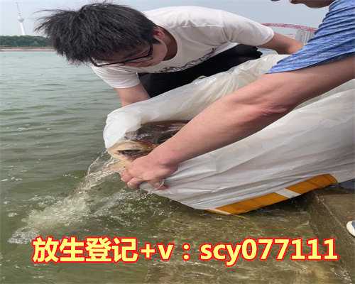 青岛哪里能放生黑鱼，青岛圆融投资吃四张警示函发行私募基金只负责“贴牌”