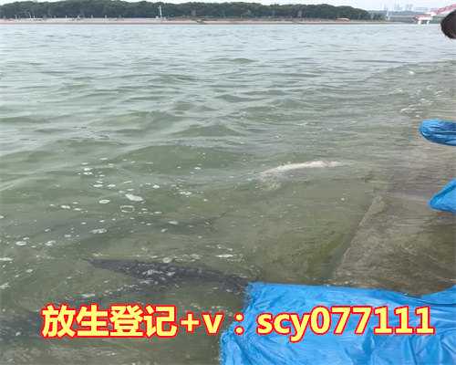 <strong>中国古人放生螃蟹，烧死一只大螃蟹</strong>