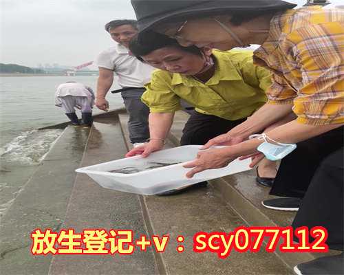 <strong>郑州放生黄鳝去哪里放，郑州市民在黄河边拍到鳄鱼或有人放生</strong>