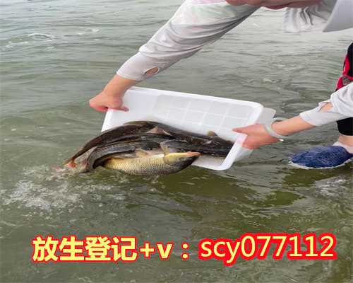 黄浦江放生鱼地址在哪里，五行缺水，养金鱼应该养几条，什么颜色的金鱼，家