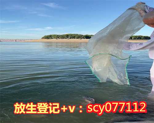 流产完买鱼放生有影响吗，算命说要买两条鲫鱼放生