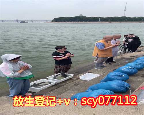 乌龟放生上午还是下午，2015年7月30日(六月十五）上午10点供灯放生