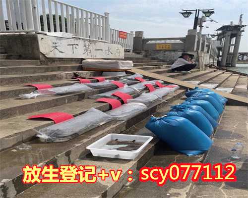 素食就是放生，“放生”！不是你想放就能放